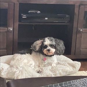 Meet your Posher, Colette